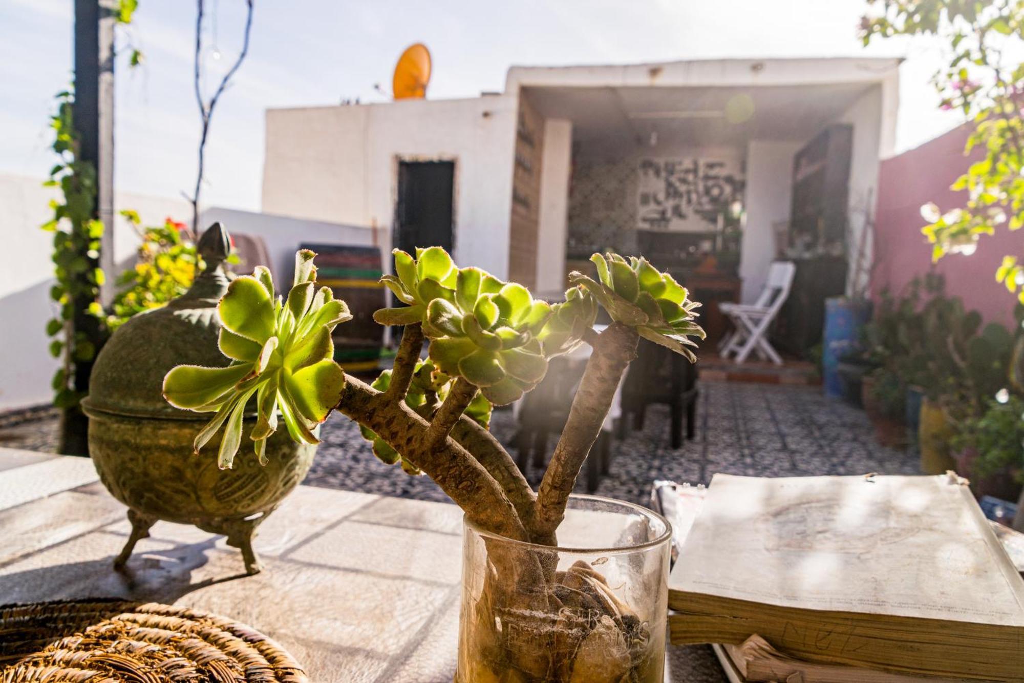 Essaouira Youth Hostel & Social Travel Zewnętrze zdjęcie